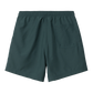 CARHARTT - CHASE SWIM TRUNKS BOTANIC